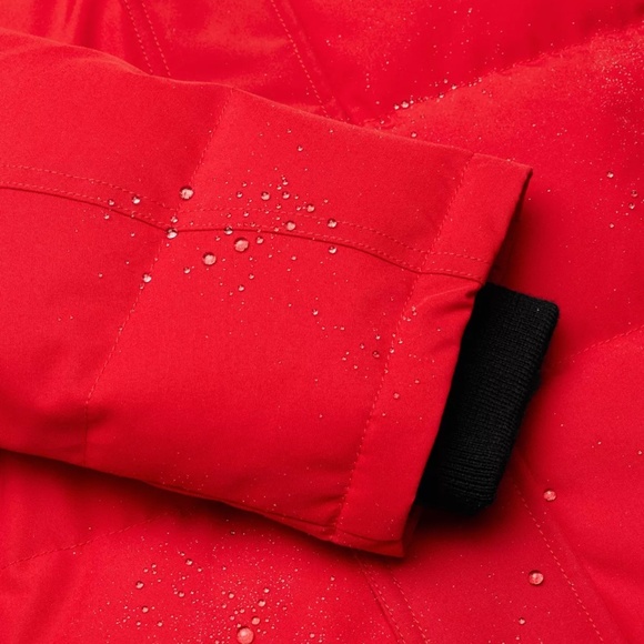 NWT Aritzia The Powder Parka - Picture 12 of 17